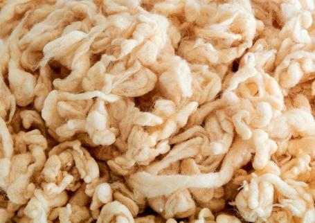 Geschorene Merinowolle in der Nahaufnahme.