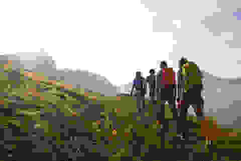 Ein Gruppe wandert mit Rucksäcken auf dem Rücken durch eine grüne Landschaft