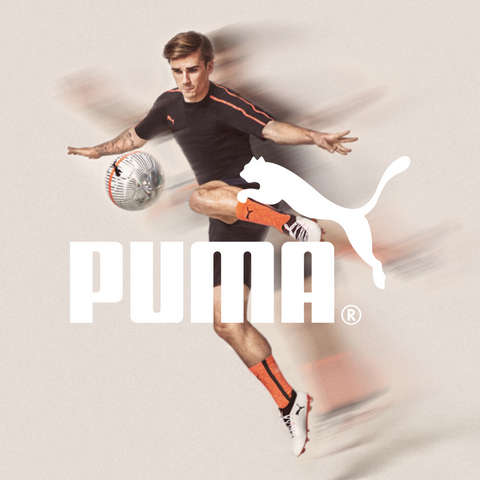 Puma Logo 2