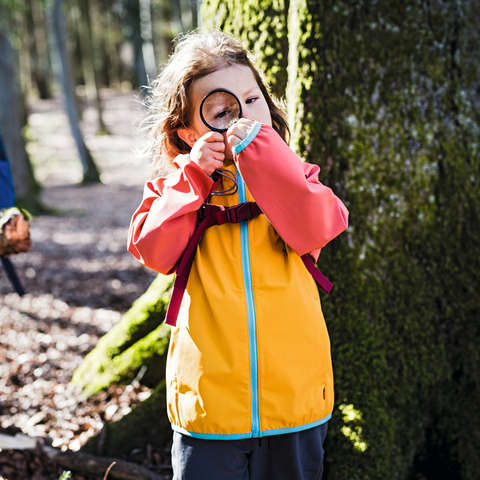 Kinder beim Wandern auf Entdeckungstour im Wald