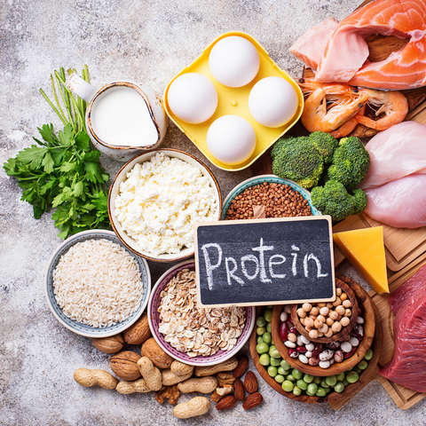 Ernährung Laufen Protein