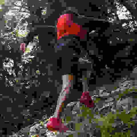 Ein Mann läuft mit Trailrunning Schuhen von Salomon einen steilen Trail im Wald hinauf