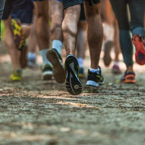 Läufer laufen auf einem Feldweg nebeneinander her. Zu sehen sind die Unterschenkel und Füße, die in unterschiedlichen Laufschuhmodellen stecken.
