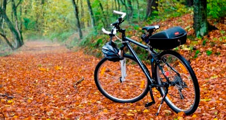 Ein Trekkingrad steht auf einem Waldweg. Der Weg ist mit Herbstlaub bedeckt.