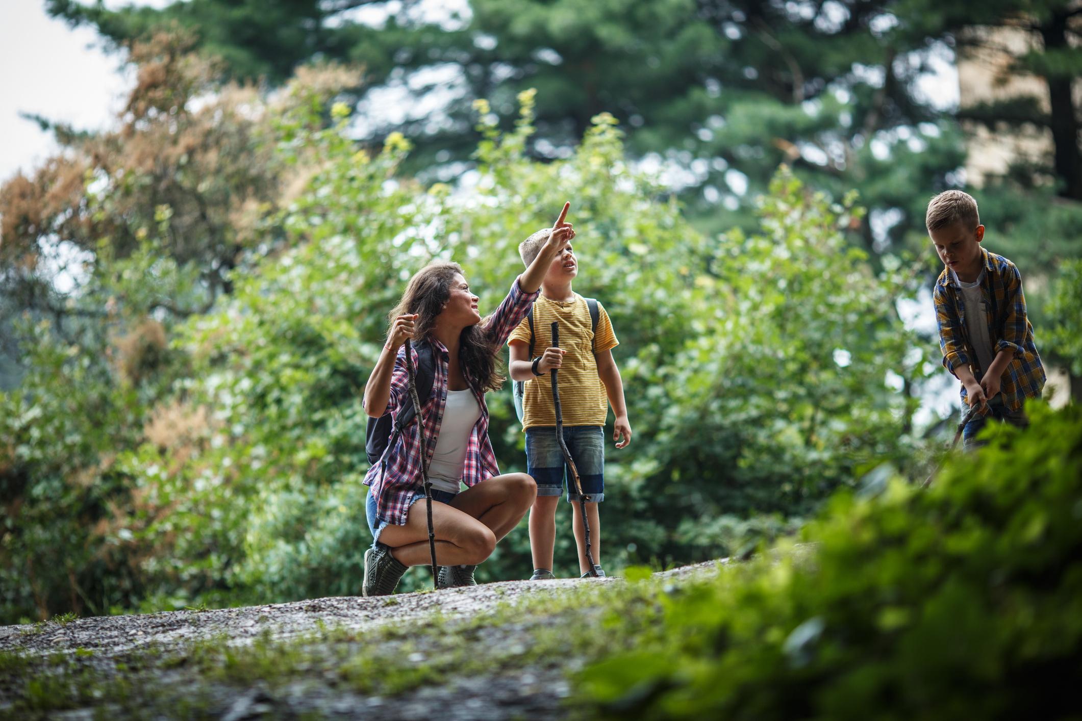 Wanderung mit Kindern im Wald