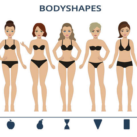 Grafische Darstellung der unterschiedlichen Bikinifiguren/Körperformen.