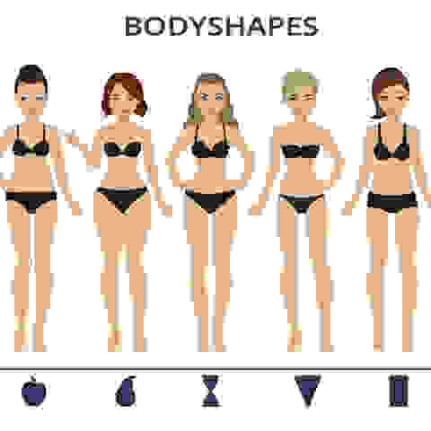 Grafische Darstellung der unterschiedlichen Bikinifiguren/Körperformen.