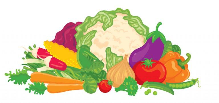 Bunte Illustration von verschiedenem Gemüsen