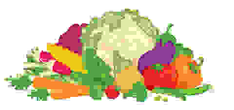 Illustration von Gemüse