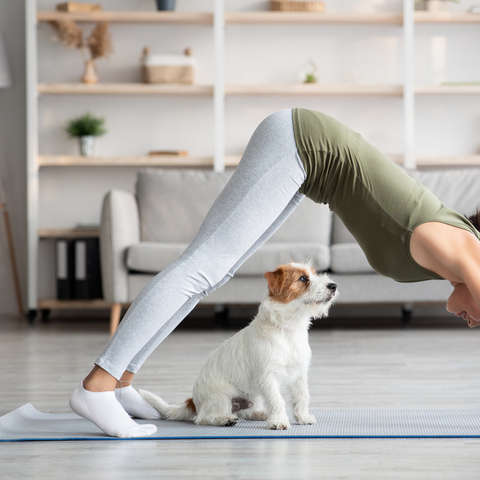 Puppy Yoga Welpen Fitnesstrend