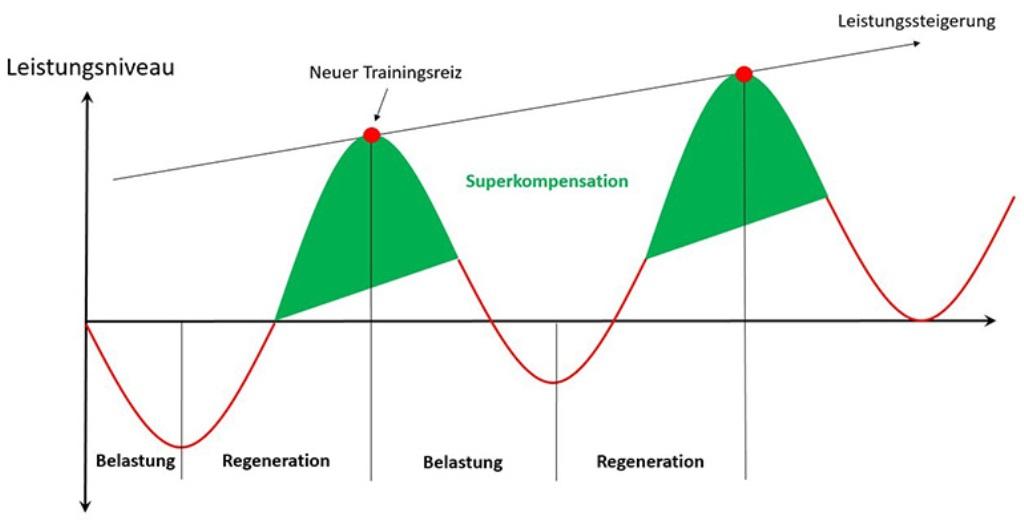 Grafische Darstellung des Prinzips der Superkompensation