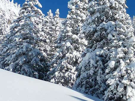 Verschneite Skipiste mit Tannenbäumen im Skigebiet Sudelfeld 