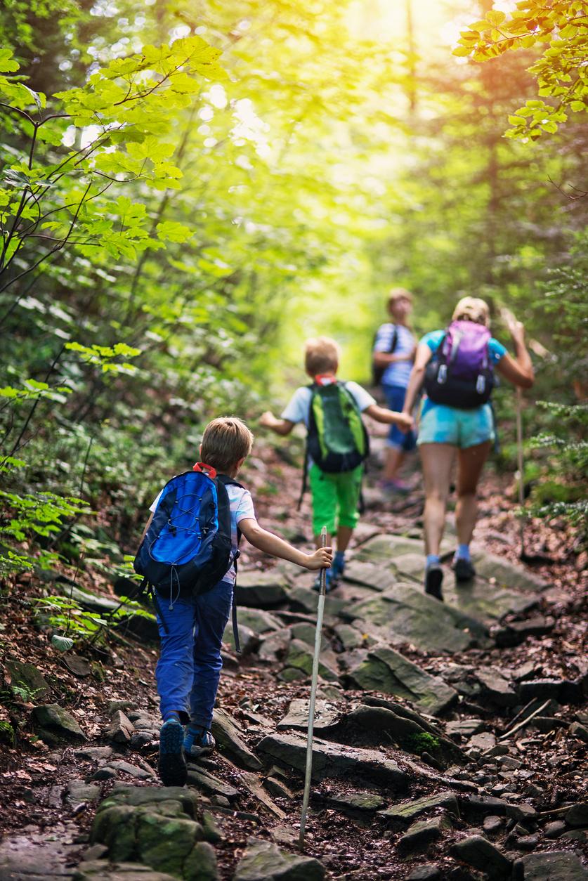 Wandern mit Kindern im Wald